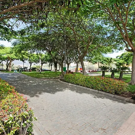 Gavias I * Arona (Tenerife)