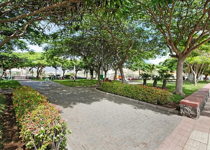 Gavias I * アロナ